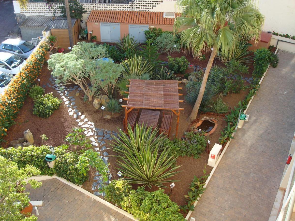 Hapimag Ferienwohnungen Puerto De La Cruz מראה חיצוני תמונה